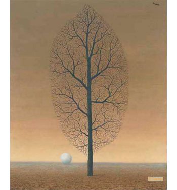 The Search For The Absolute, 2