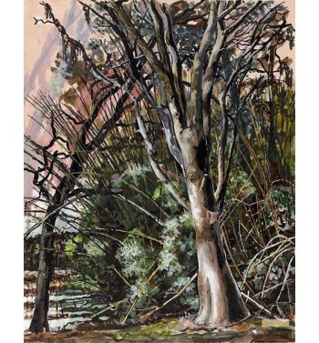 Tree Study Unfinished, Georgia 196069