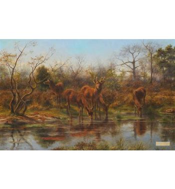 Deer Drinking Beside A Pond 1876