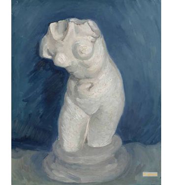 Torso Of Venus 2