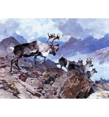 Fall Storm