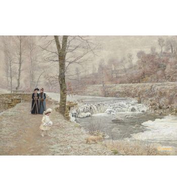 Au Bord Du Sornin En Hiver