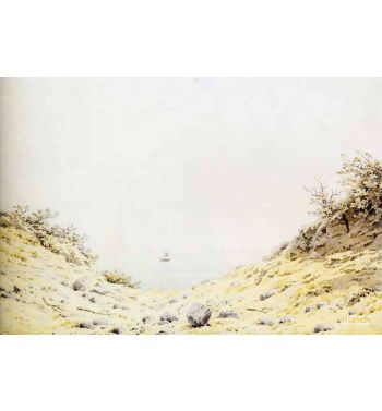 Dune By The Sea