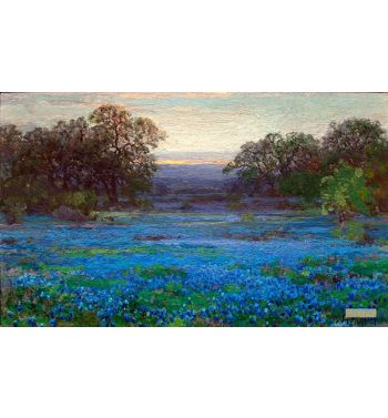 Meadows