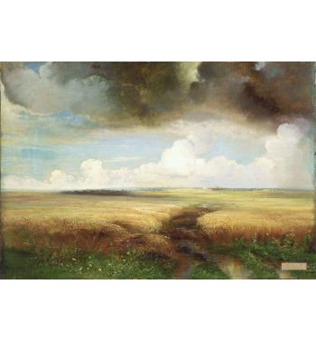 Rye 1881
