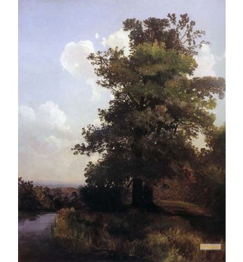 Oaks