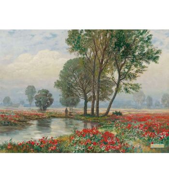 Sommerlandschaft