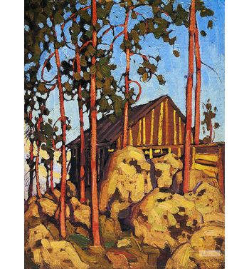 Cabin in Algonquin Park