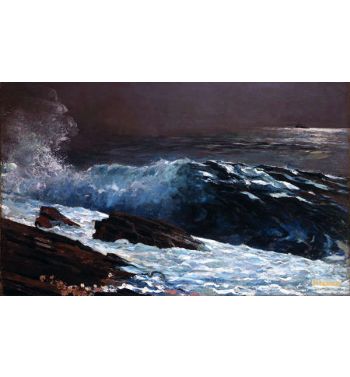 Sunlightonthecoast