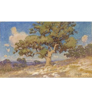 High Desert Oaks