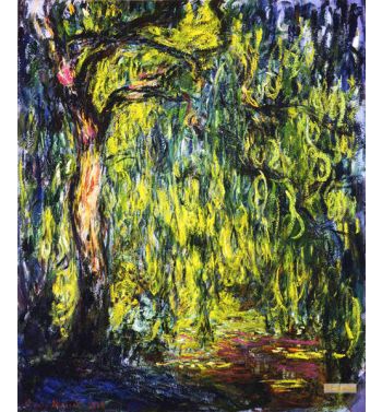 Water Lilies Reflection Of A Weeping Willow