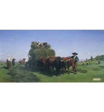 Haymaking Auvergne