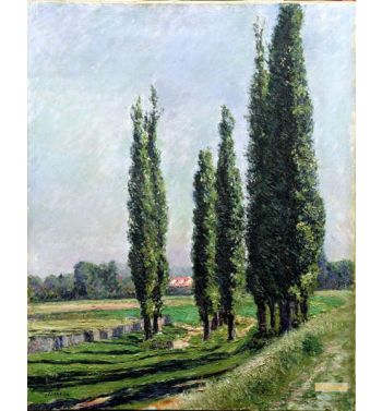 Poplars On The Riverbank At Argenteuil