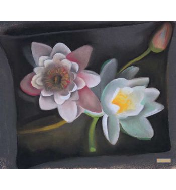 Water Lily 1921