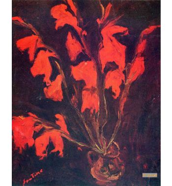Red Gladioli