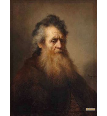 Bearded Old Man