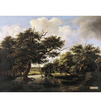 Woodland Pond