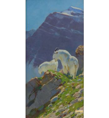 Mountain Goats