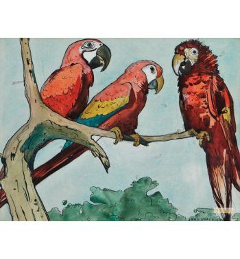 Three Parrots