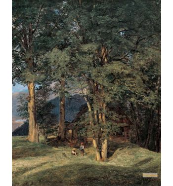 Maple Trees Near Ischl