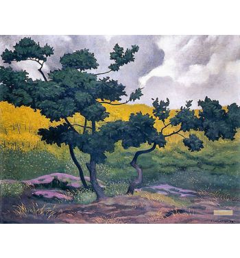 Composed Landscape
