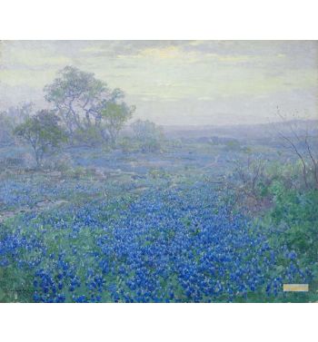 Cloudy Day, Bluebonnets Near San Antonio, Texas