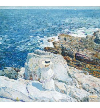 The South Ledges Appledore 1913
