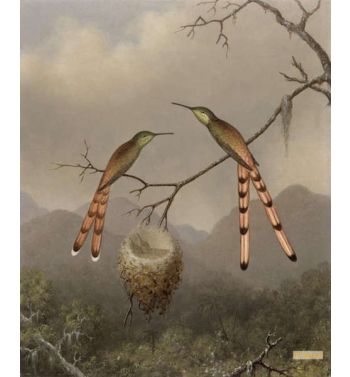 Two Hummingbirds With Their Young C1865