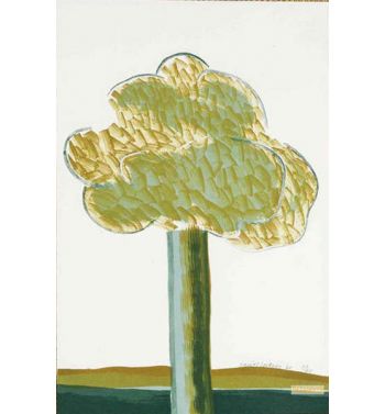 Picture Of A Landscape