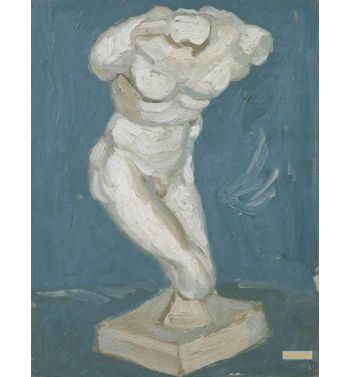 Torso Of Venus 10