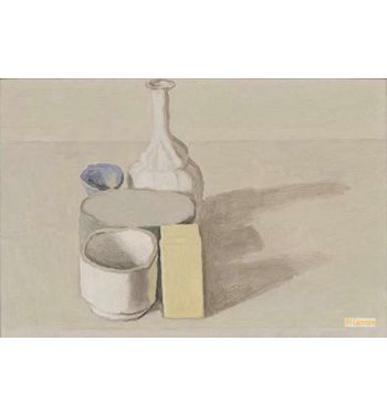 Still Life