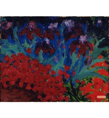 Blue And Violet Flowers
