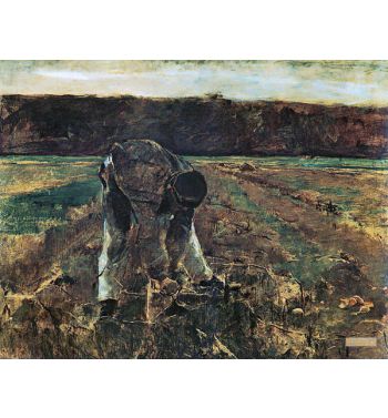 Potato Pickers