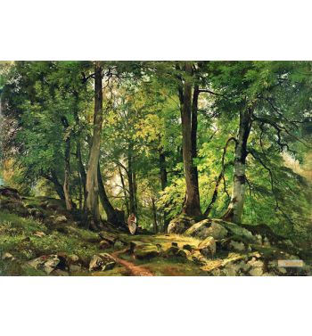 Beech Forest In Switzerland 1863