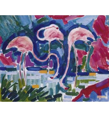 Flamingos 1907