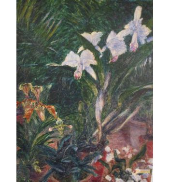 Orchids In The Greenhouse Of Petit Gennevilliers