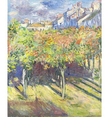 Buildings Behind The Lime Trees At Poissy
