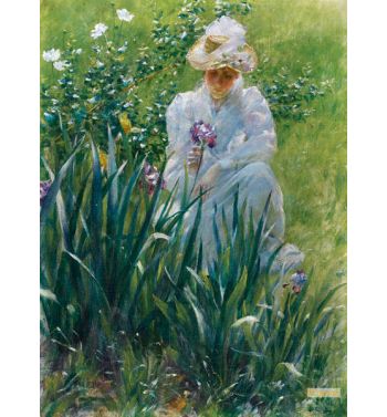 The Iris Bed