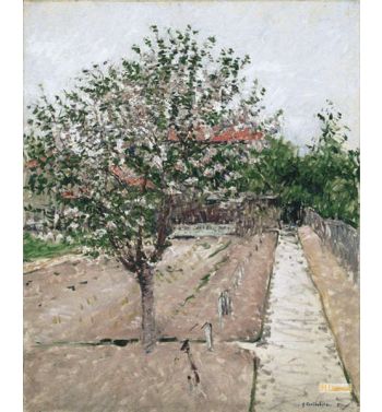Apple Tree In Bloom, Pommier En Fleurs