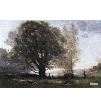 Oaks In A Valley