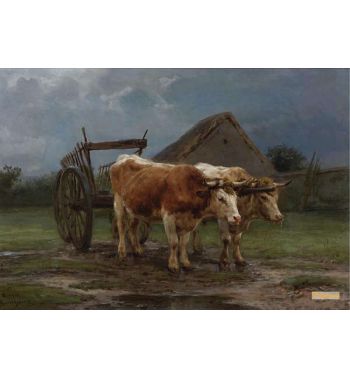 Oxen Pulling A Cart