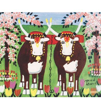 Oxen In Spring, Ca, 1960S