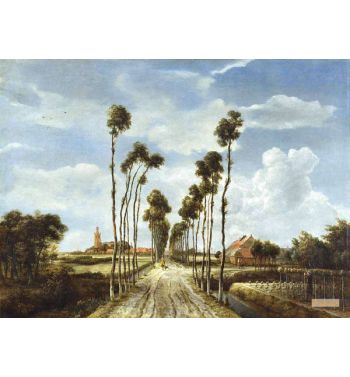 The Avenue At Middelharnis