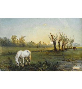 White Horse At The Meadow
