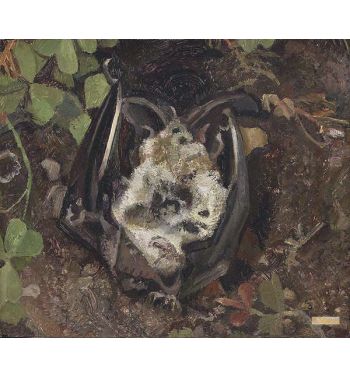 Another Dead Bat