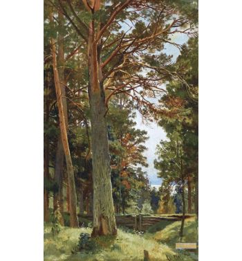 The Glade