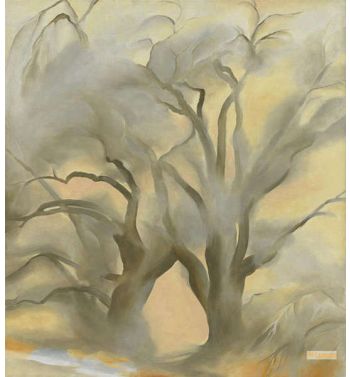 Winter Cottonwoods East V 1954