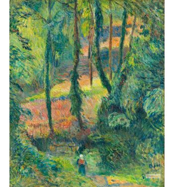 Forest Interior Sous-Bois 