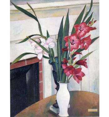 Gladioli