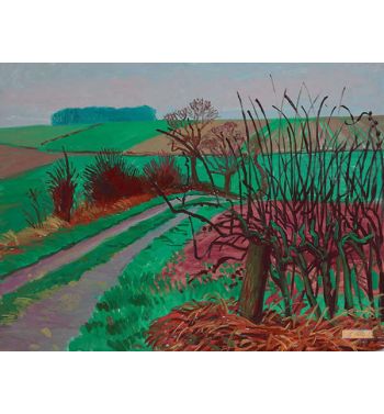 Track And Hedgerow January 2006
